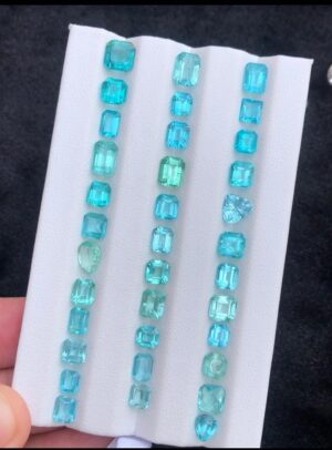Faceted Natural Appetite lot
